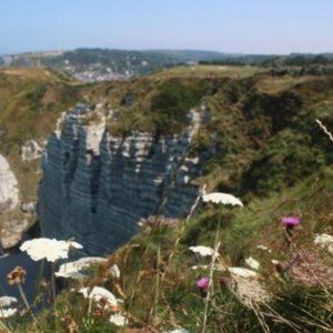 Meet your Posher, Carlee